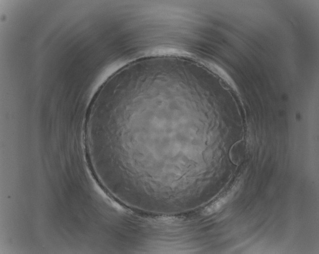 X0000068770847200605011025