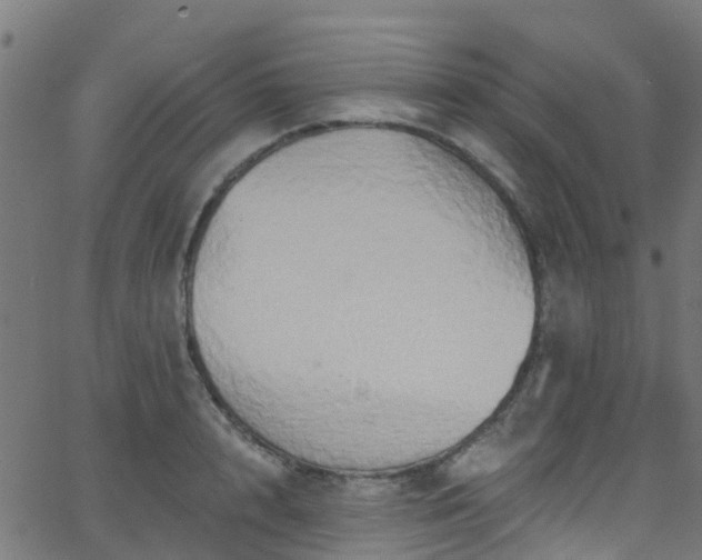 X0000068770848200605011025