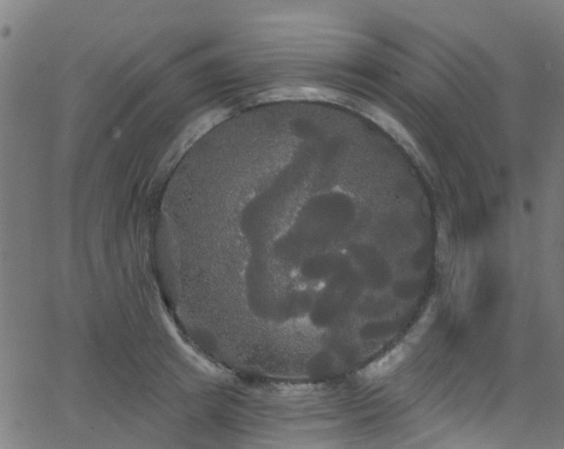 X0000068770849200605011025