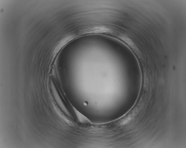 X0000068770850200605011025