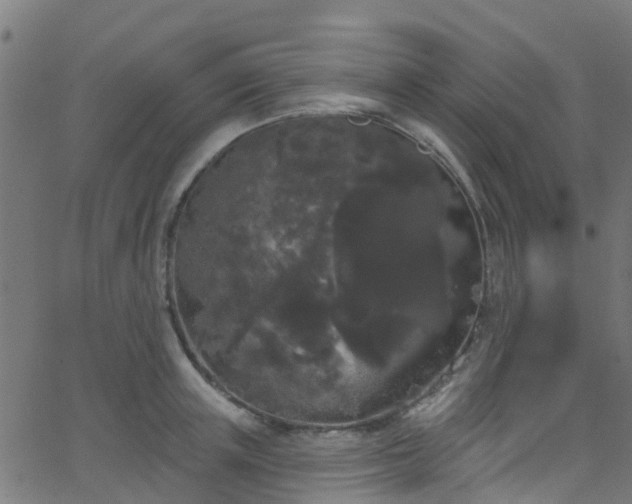 X0000068770851200605011025