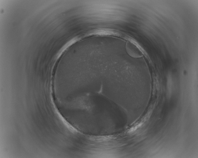 X0000068770853200605011025