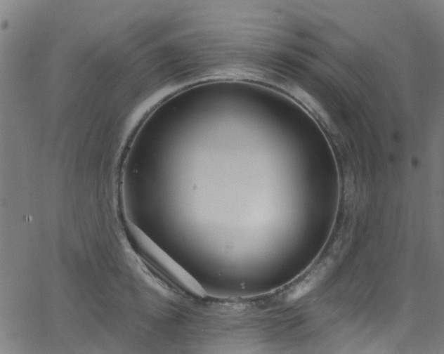 X0000068770854200605011025