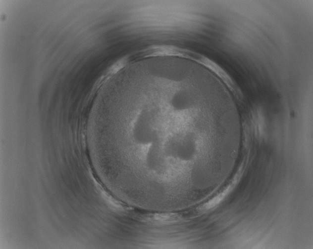 X0000068770857200605011025