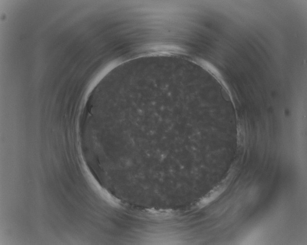 X0000068770859200605011025