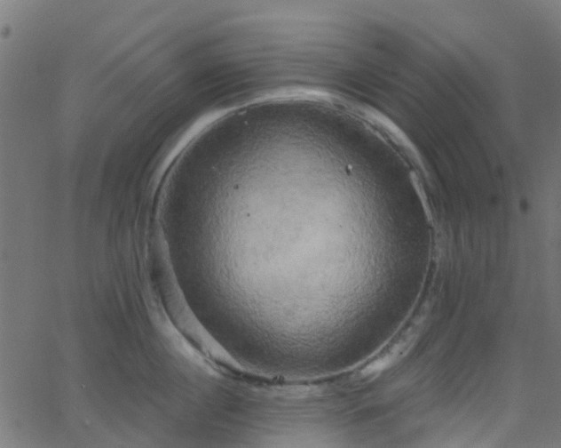 X0000068770860200605011025