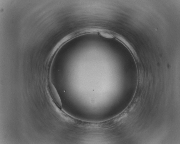 X0000068770861200605011025