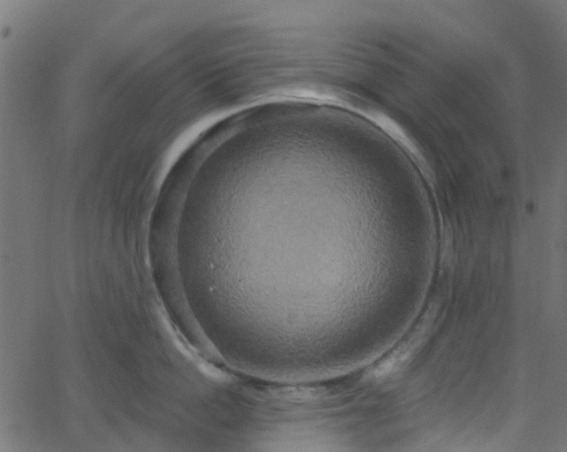 X0000068770862200605011025