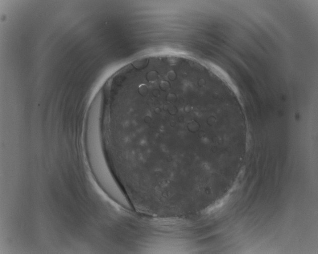 X0000068770863200605011025