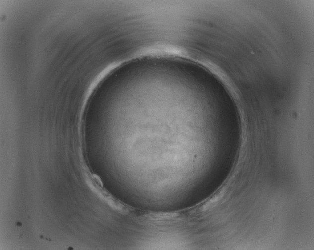 X0000068770864200605011025