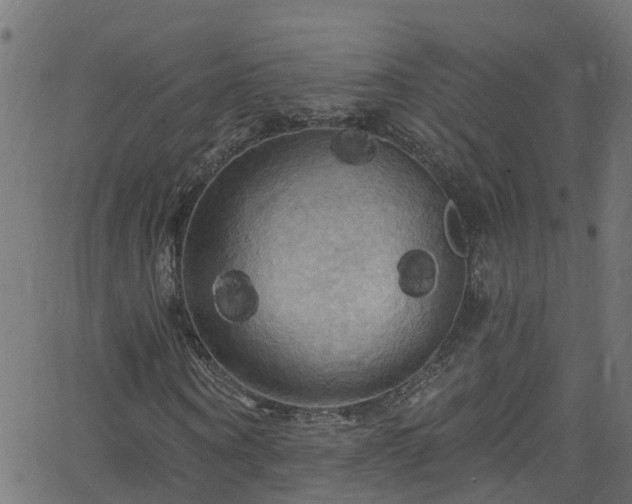 X0000068770866200605011024