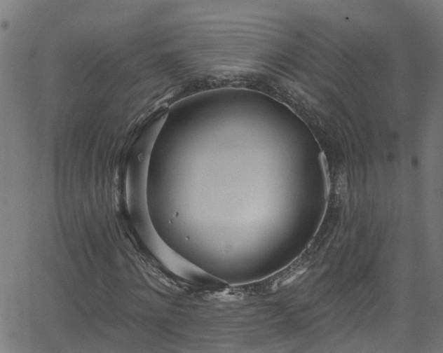 X0000068770868200605011024