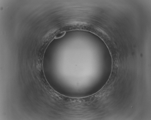 X0000068770869200605011024