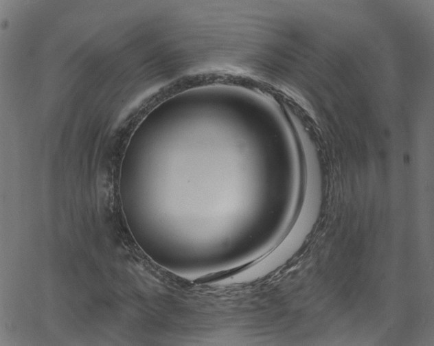 X0000068770872200605011024