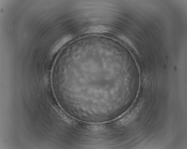 X0000068770874200605011024