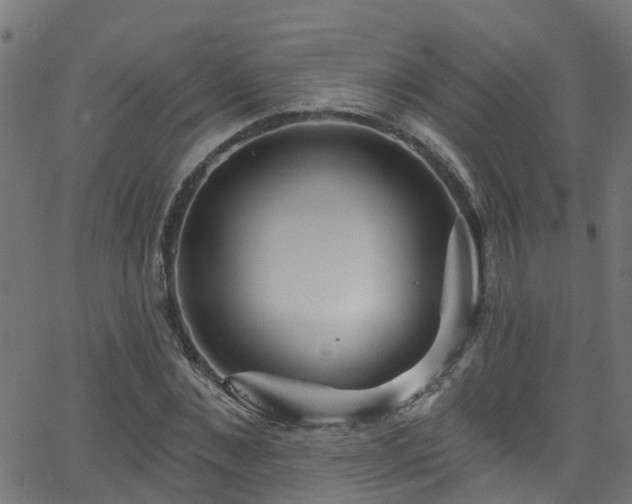 X0000068770876200605011024