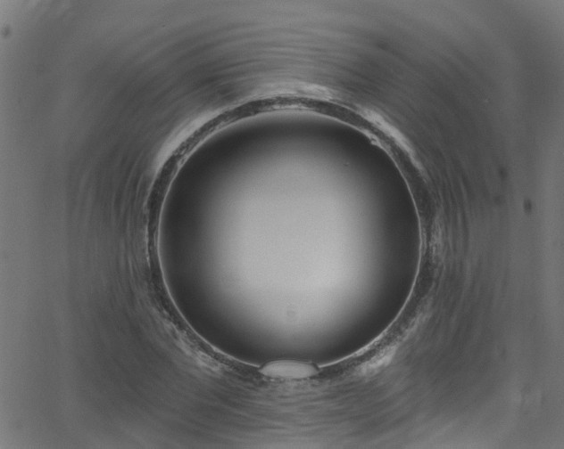 X0000068770877200605011024