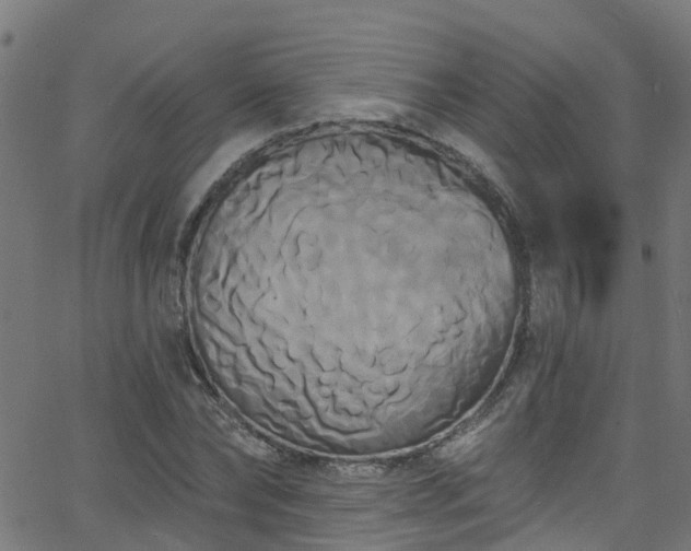 X0000068770878200605011024