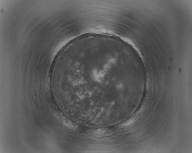 X0000068770879200605011024