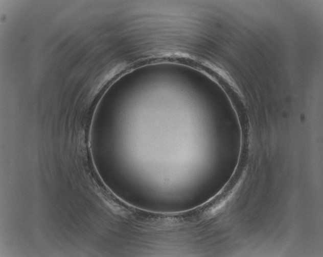 X0000068770881200605011024