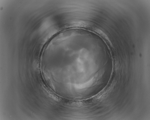 X0000068770882200605011024