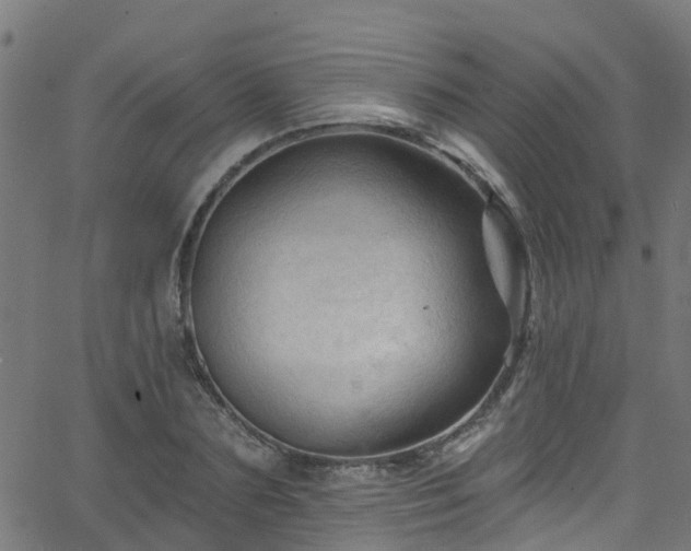 X0000068770883200605011024