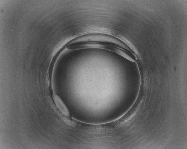 X0000068770885200605011024