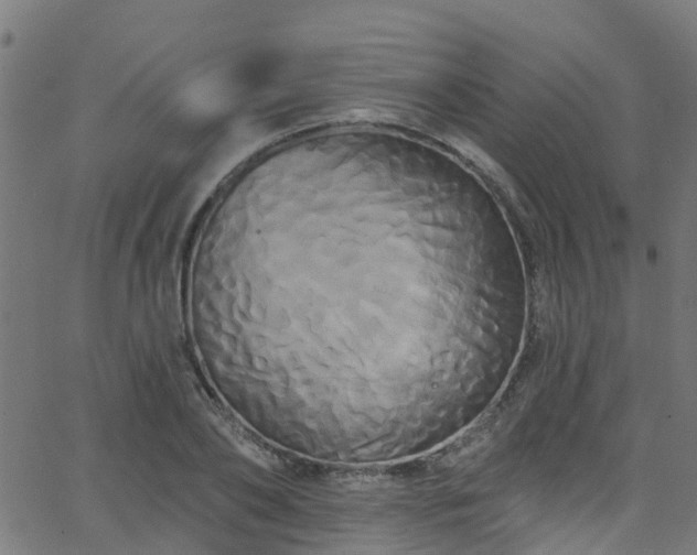 X0000068770886200605011024