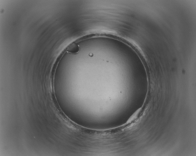 X0000068770887200605011024