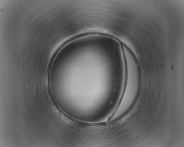 X0000068770888200605011024