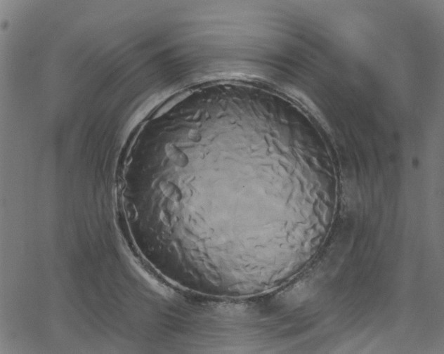 X0000068770890200605011024