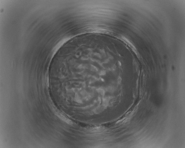 X0000068770891200605011024