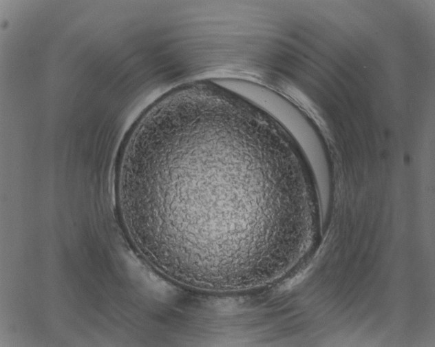 X0000068770892200605011024