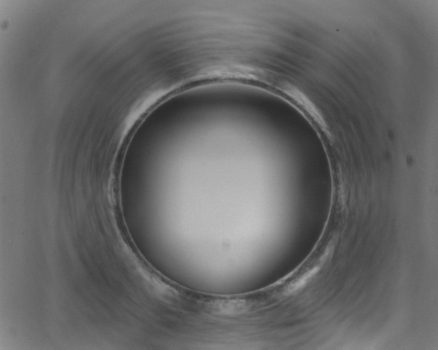 X0000068770893200605011024