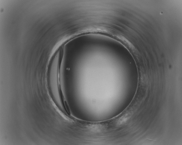 X0000068770894200605011024