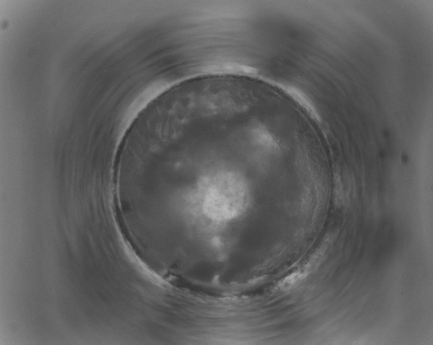 X0000068770895200605011024