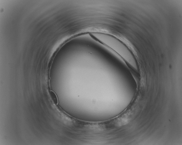 X0000068770896200605011024