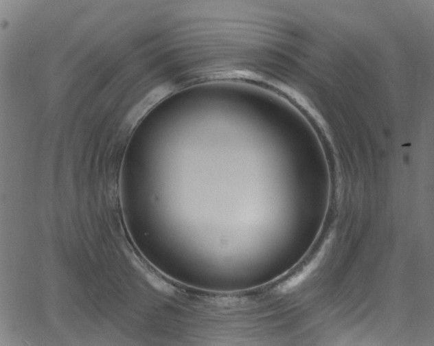 X0000068770897200605011024