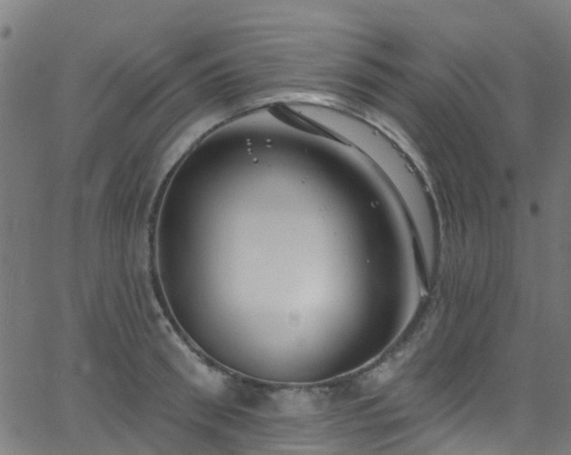 X0000068770898200605011024