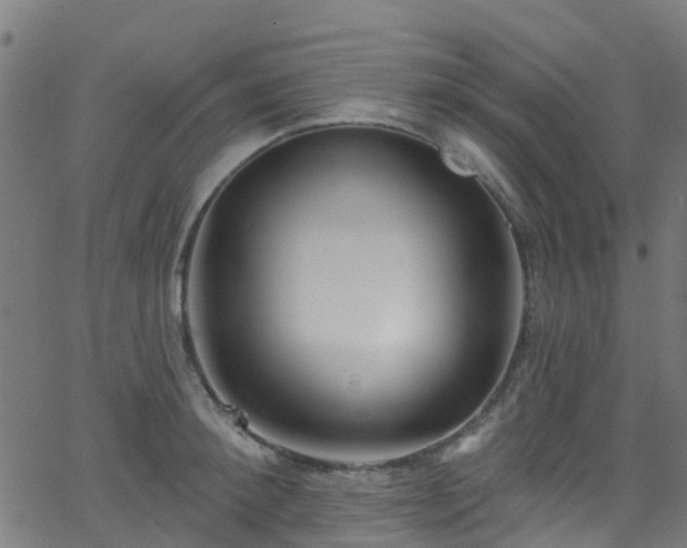 X0000068770900200605011024