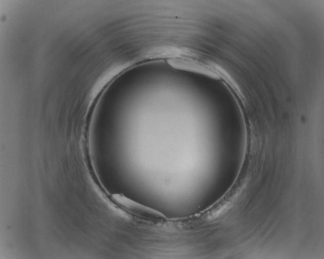 X0000068770901200605011024