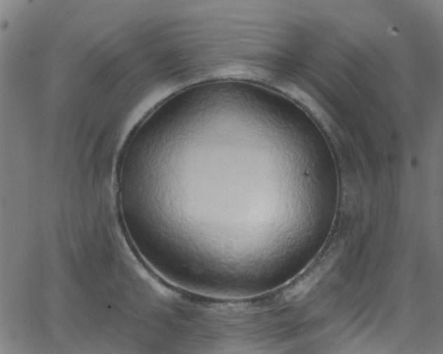 X0000068770902200605011024