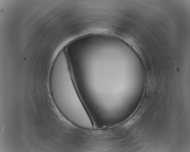 X0000068770904200605011024