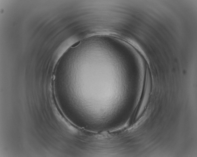 X0000068770906200605011024