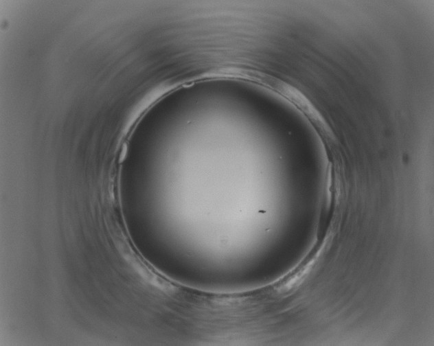 X0000068770908200605011024