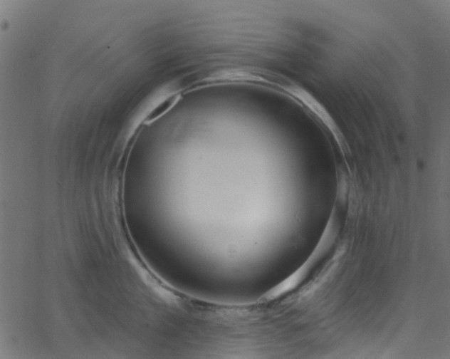 X0000068770909200605011024