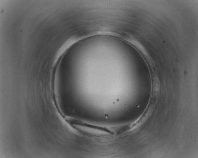 X0000068770910200605011024