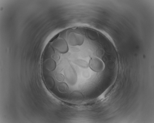 X0000068770911200605011024