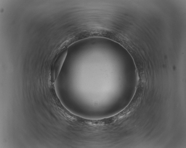 X0000068770916200605011023