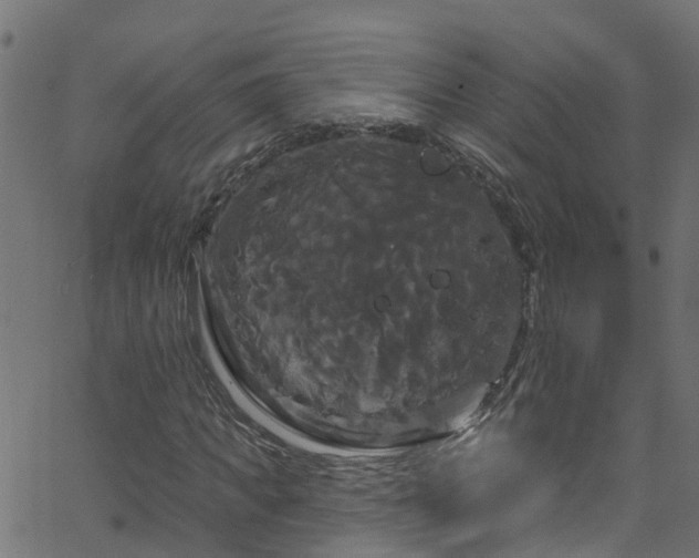 X0000068770917200605011023